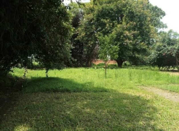 3-bedroom-house-for-rent-in-makeni-big-4