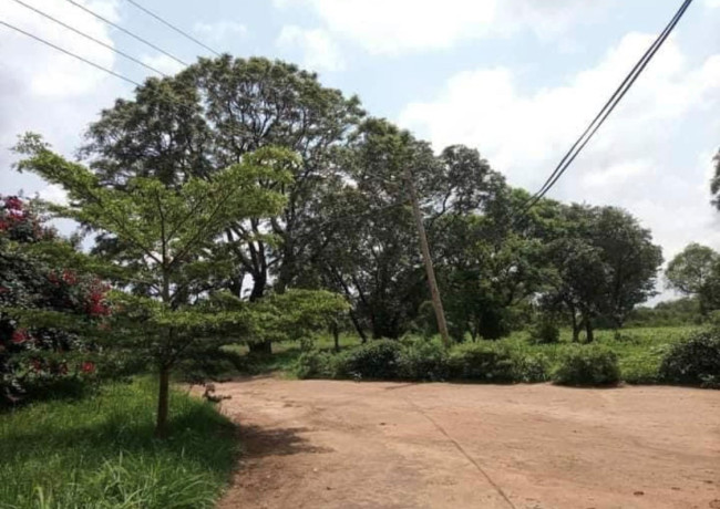 3-bedroom-house-for-rent-in-makeni-big-2