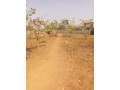 prime-land-for-sale-in-ibex-meanwood-small-4