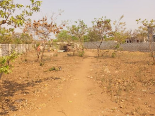 prime-land-for-sale-in-ibex-meanwood