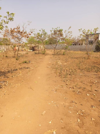 prime-land-for-sale-in-ibex-meanwood-big-4