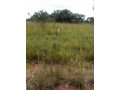 2-hectares-of-land-in-roan-park-chongwe-small-3