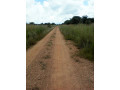 2-hectares-of-land-in-roan-park-chongwe-small-1