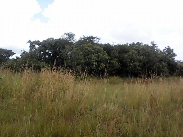 2-hectares-of-land-in-roan-park-chongwe-big-2