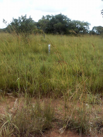 2-hectares-of-land-in-roan-park-chongwe-big-3