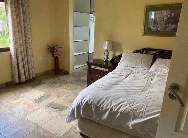 3-bedroom-apartment-for-rent-in-new-kasama-big-6