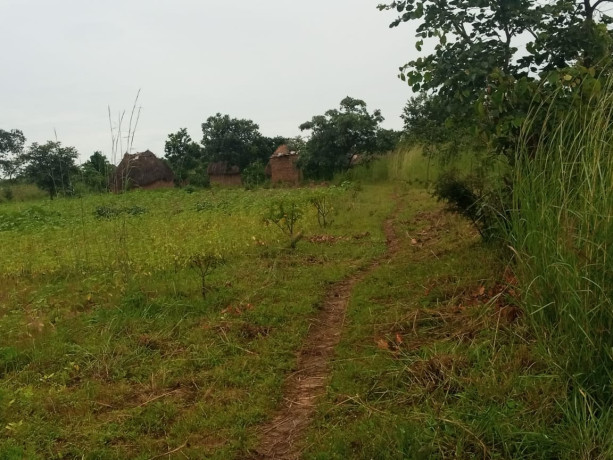 30m-by-40m-plots-for-sale-in-choma-big-5
