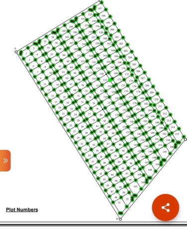 30m-by-40m-plots-for-sale-in-choma-big-2