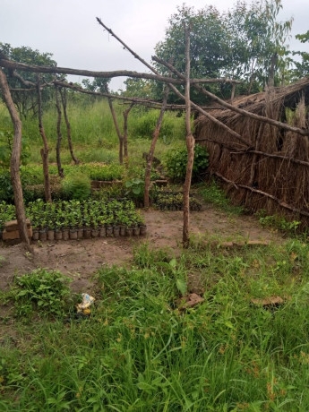 30m-by-40m-plots-for-sale-in-choma-big-7