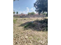 residential-plot-for-sale-in-ibex-hill-small-3