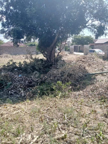 residential-plot-for-sale-in-ibex-hill-big-2