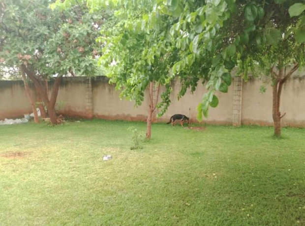 3-bedroom-flat-for-rent-in-new-kasama-big-3