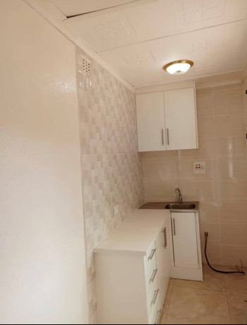 1-bedroom-flat-for-rent-in-new-kasama-big-2