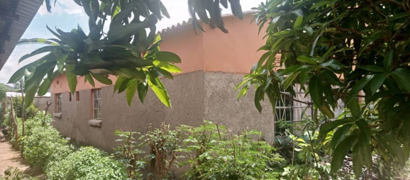 3-bedroom-house-for-sale-in-shikoswe-big-2