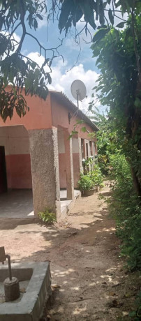 3-bedroom-house-for-sale-in-shikoswe-big-1