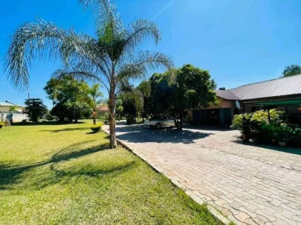 3-by-9-flats-for-sale-in-ibex-main-street-big-7