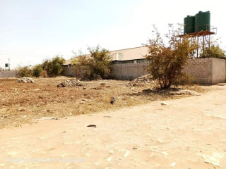 residential-plot-for-sale-in-chalala