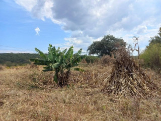 45-acre-farm-for-sale-in-sinoma