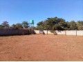 plot-for-sale-in-new-kasama-small-1