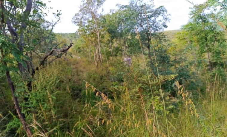 53-acre-plot-for-sale-in-mikango-big-0