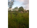 plots-for-sale-in-ibex-hill-1st-street-small-2