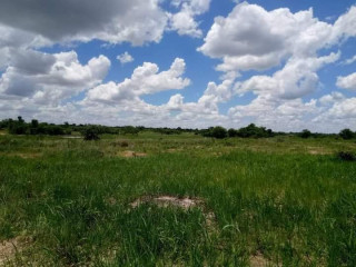 plots-for-sale-in-ibex-hill-1st-street