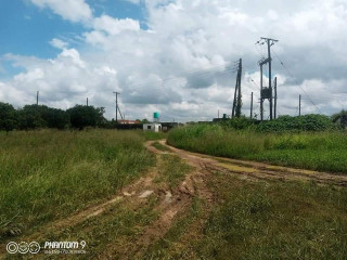 farmhouse-with-62-acres-of-land-and-chicken-runs-near-zamseed