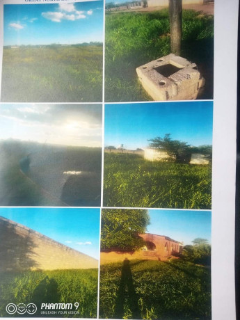 farmhouse-with-62-acres-of-land-and-chicken-runs-near-zamseed-big-6