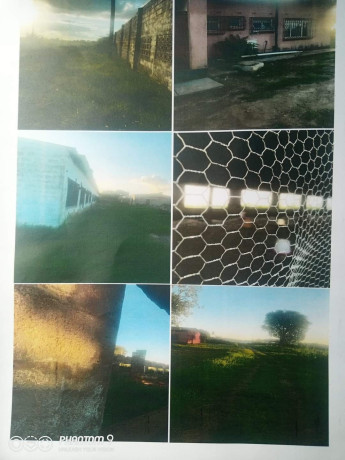 farmhouse-with-62-acres-of-land-and-chicken-runs-near-zamseed-big-4