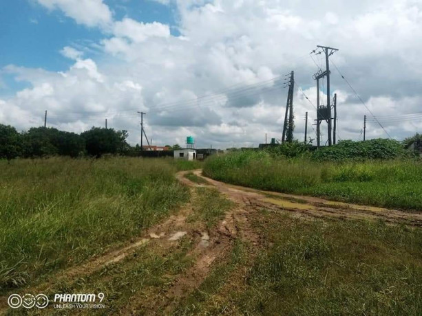 farmhouse-with-62-acres-of-land-and-chicken-runs-near-zamseed-big-0