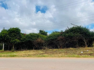 1-acre-plot-for-sale-in-ibex-hill-3rd-street