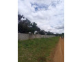 5-acre-plot-for-sale-in-meanwood-nkoshi-small-4