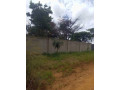 5-acre-plot-for-sale-in-meanwood-nkoshi-small-1