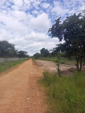 5-acre-plot-for-sale-in-meanwood-nkoshi-big-3