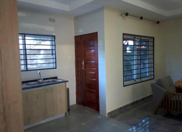 2-bedroom-apartments-for-rent-in-makeni-big-8