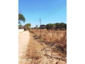 70-by-70-plot-for-sale-in-new-kasama-small-3