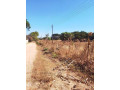 30-by-40-plot-for-sale-in-new-kasama-small-1