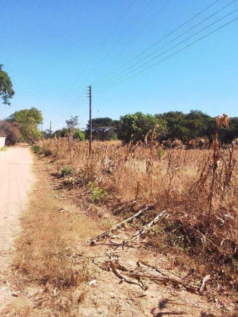 30-by-40-plot-for-sale-in-new-kasama-big-7