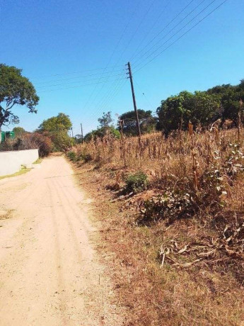 30-by-40-plot-for-sale-in-new-kasama-big-2