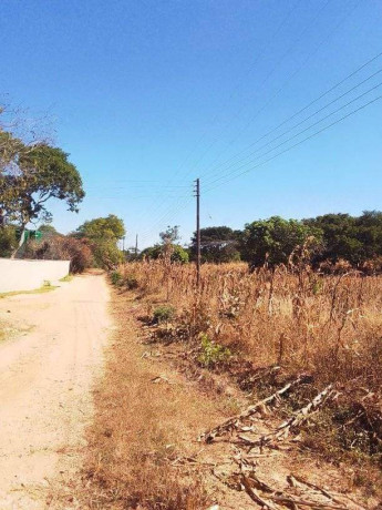 30-by-40-plot-for-sale-in-new-kasama-big-9