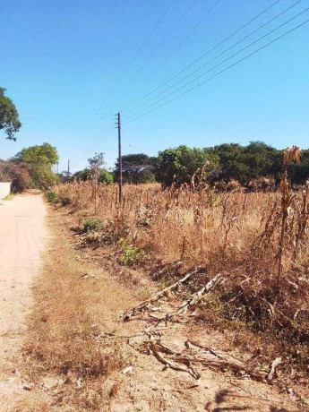 30-by-40-plot-for-sale-in-new-kasama-big-1