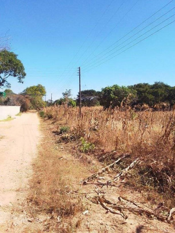 30-by-40-plot-for-sale-in-new-kasama-big-6