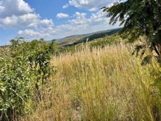 plot-for-sale-in-palabana