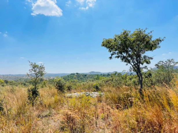 10-acre-plot-for-sale-in-palabana-big-2