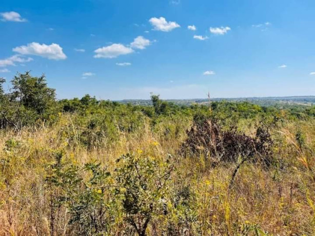 10-acres-land-for-sale-in-palabana-big-4