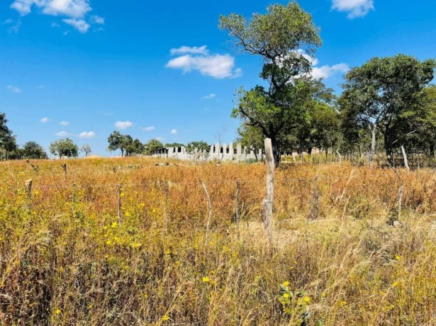 10-acres-plot-for-sale-in-palabana-big-2