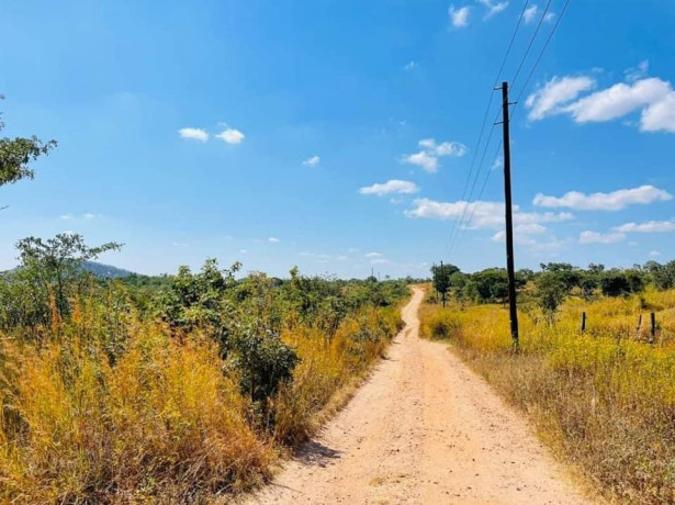 10-acres-plot-for-sale-in-palabana-big-5