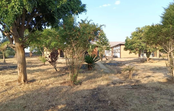 5-bedroom-house-for-sale-in-9-miles-big-8