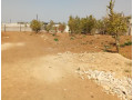1625-sq-mt-plot-in-rockfield-woodlands-chalala-small-2