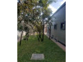 3-bedroom-house-for-rent-in-ibex-hill-small-4